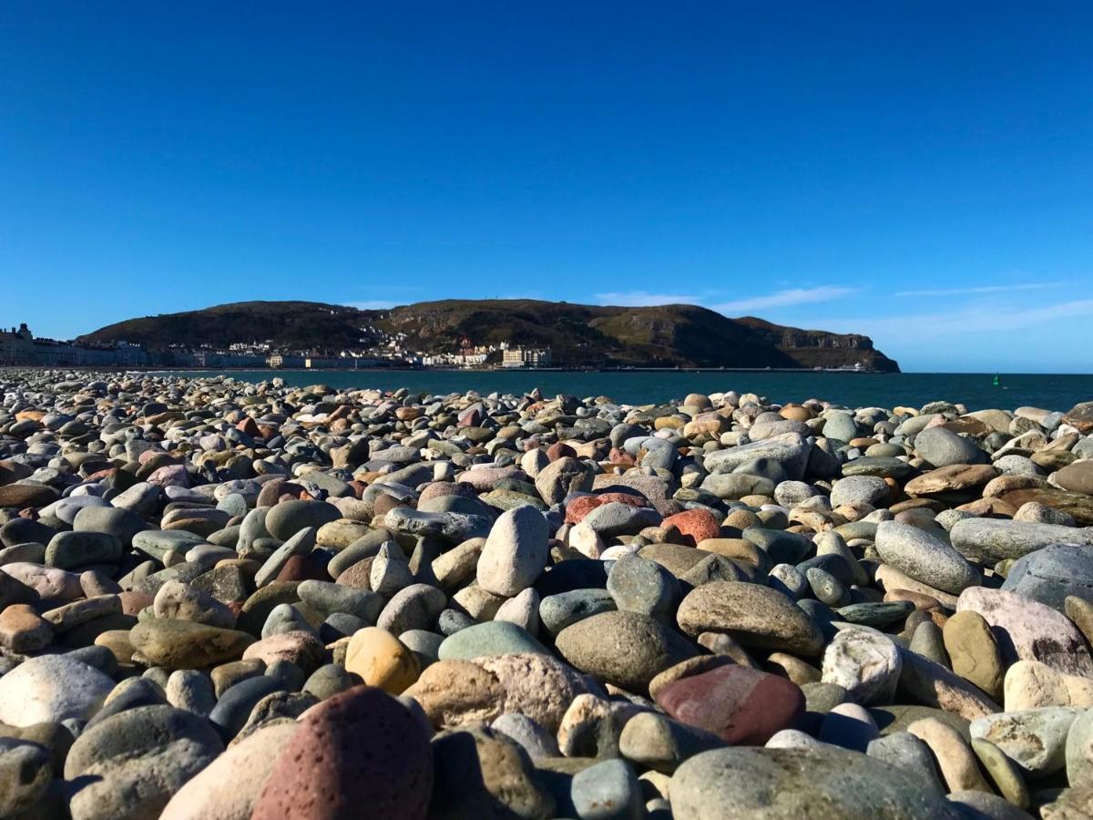 Guest house The Kendrick Exclusively For Adults Llandudno