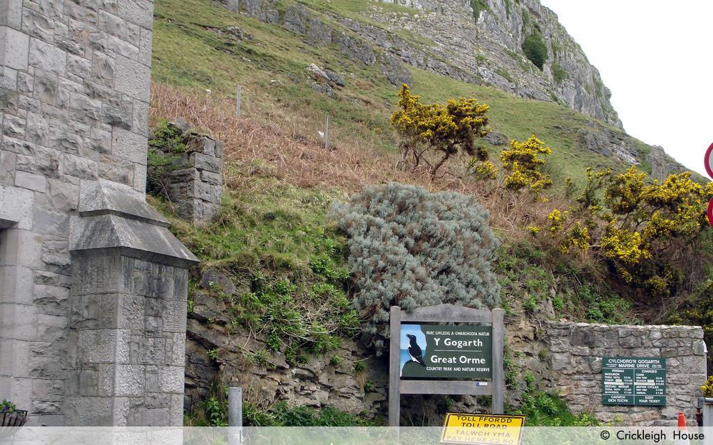 Bed & Breakfast Crickleigh House Llandudno
