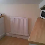 Spacious Cosy Apartment