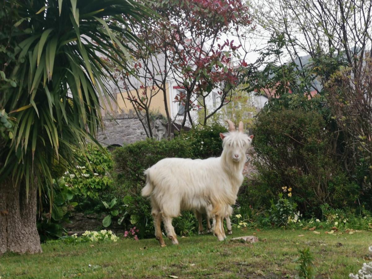Bron Orme Private 4*