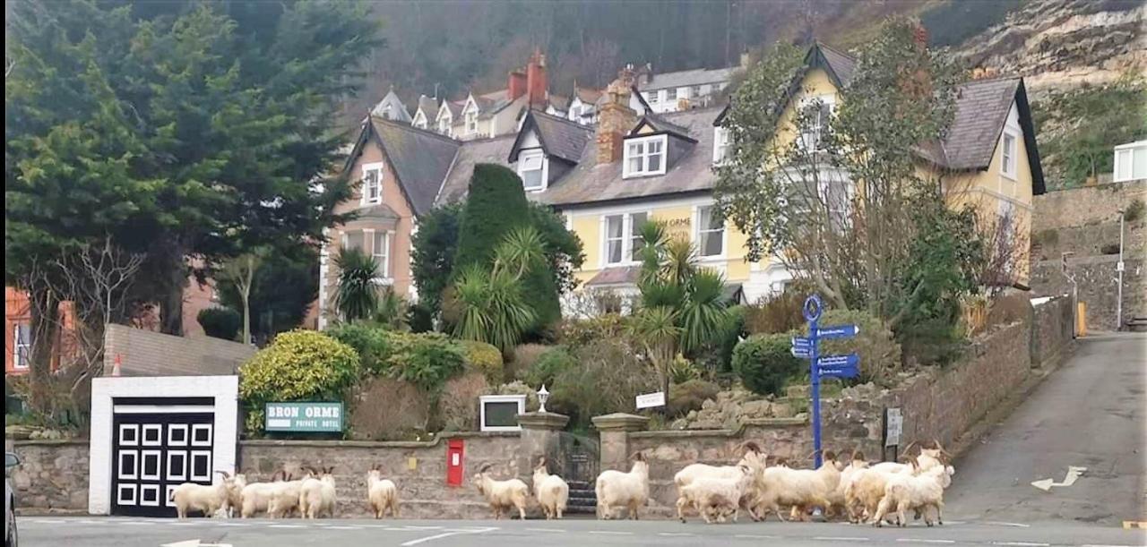 Bron Orme Private Guest house Llandudno
