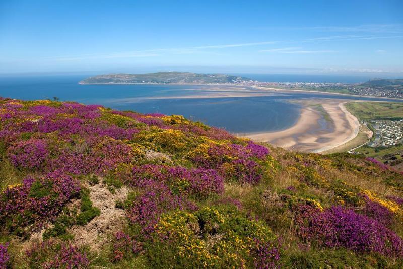 St George's - 4*