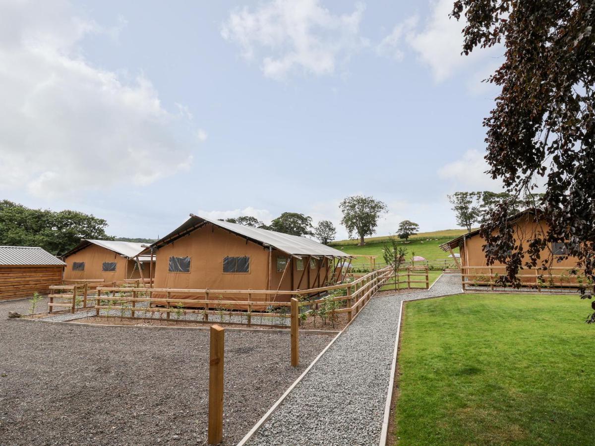 Holiday home Mad Molly Llandudno