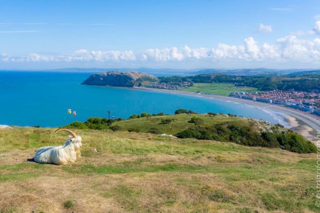 Touchwood House Holiday home Llandudno