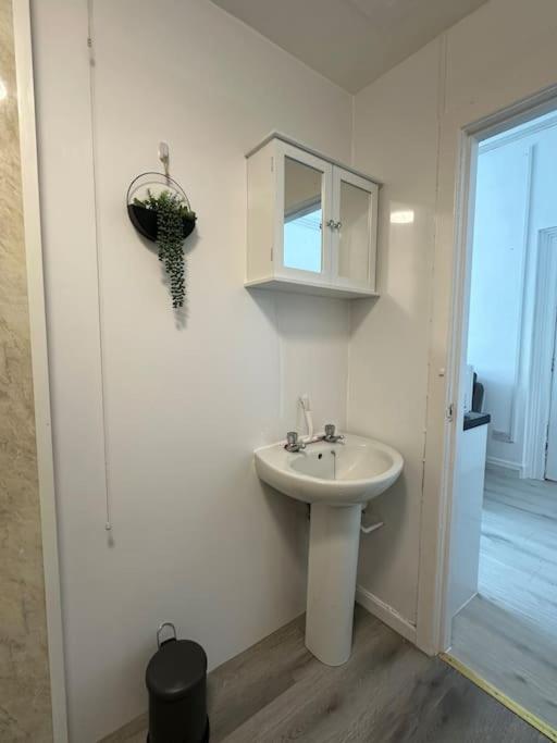 Apartment Carmen Sylva Ground Floor F3