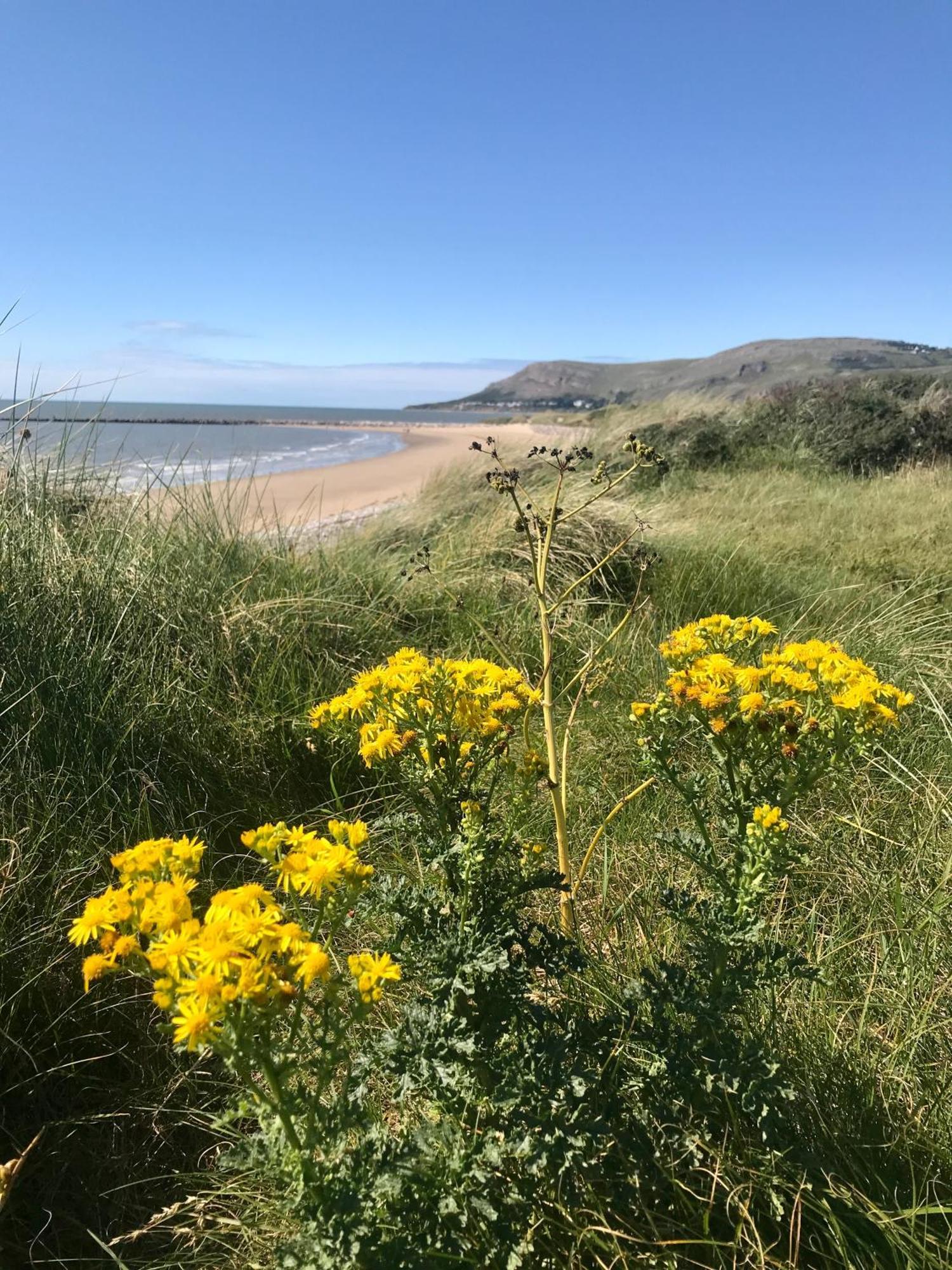 Great Orme Cottage, The Great Orme, Holiday home
