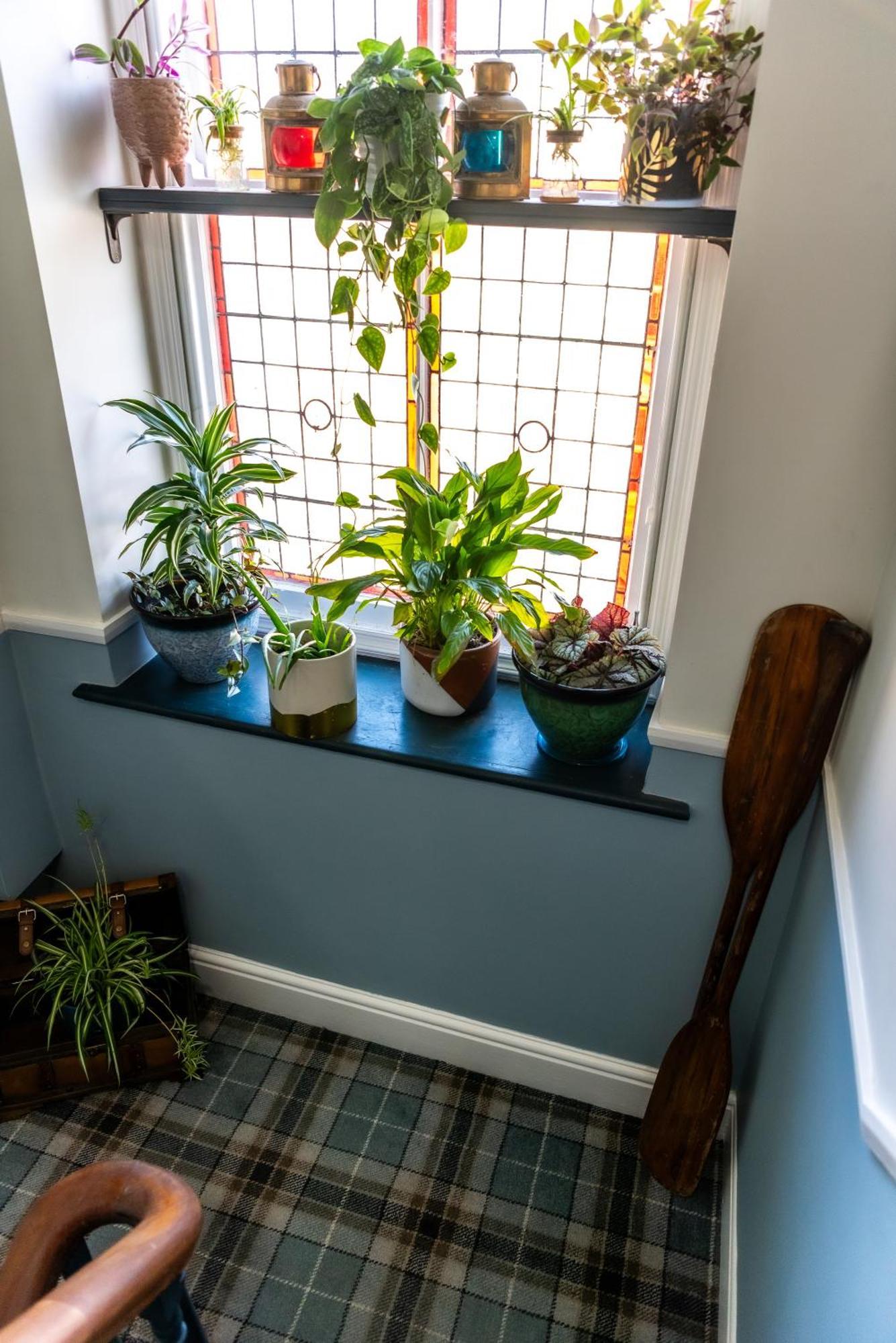 Mulberry House Guest house