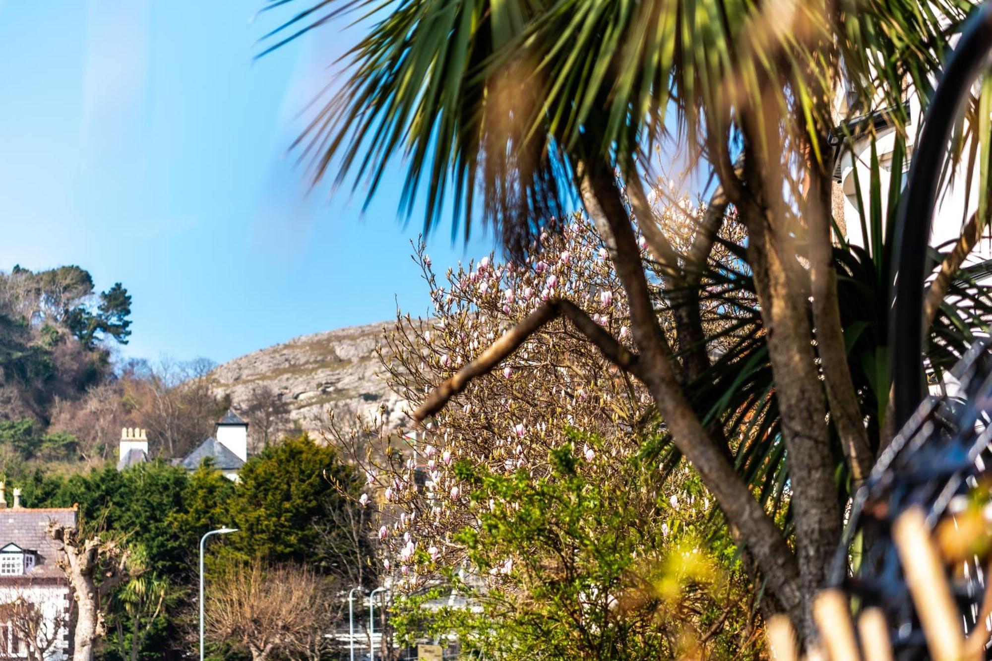 Mulberry House Guest house Llandudno