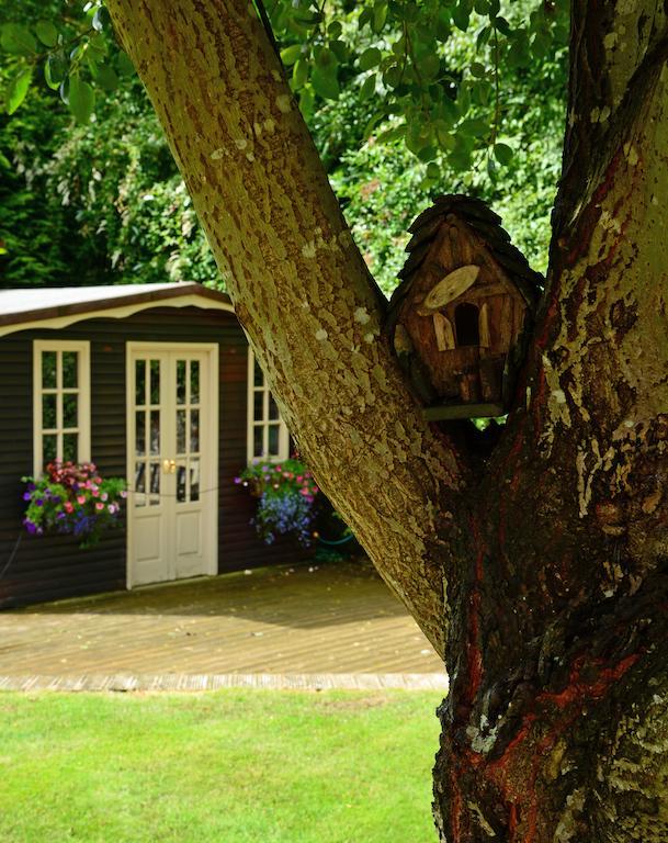 Ashbrook Bed And Breakfast Llandudno