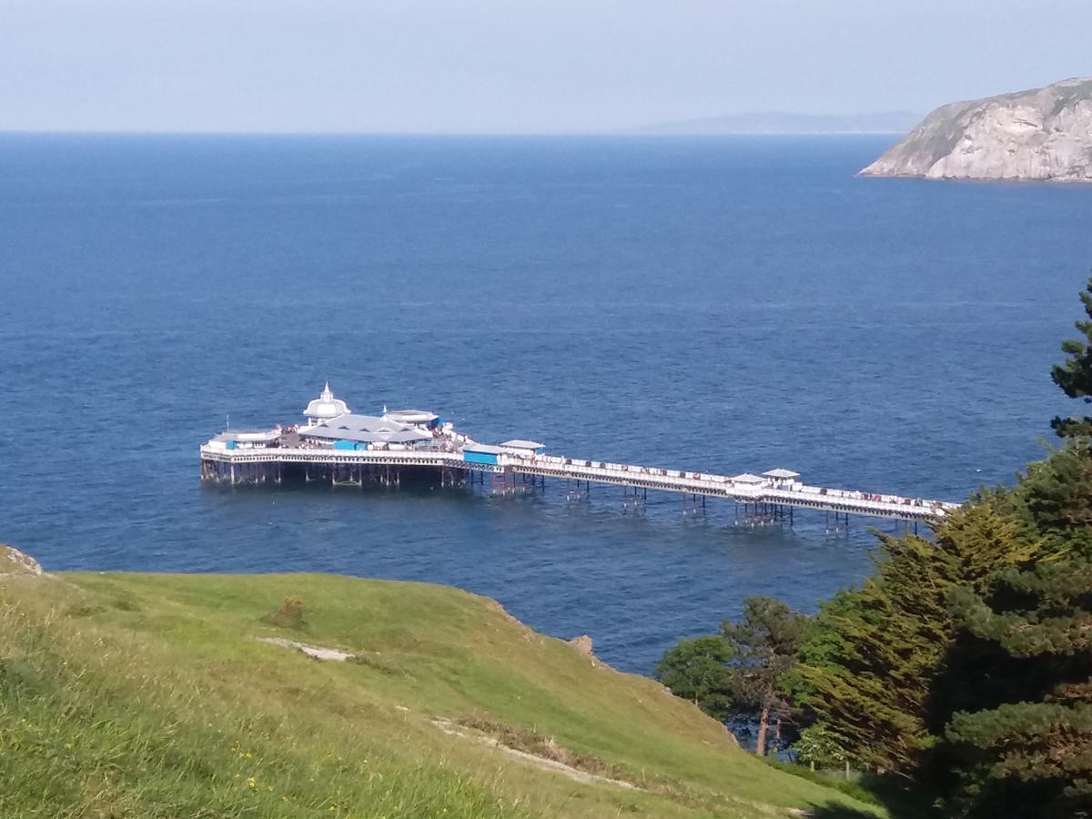 Little Orme View