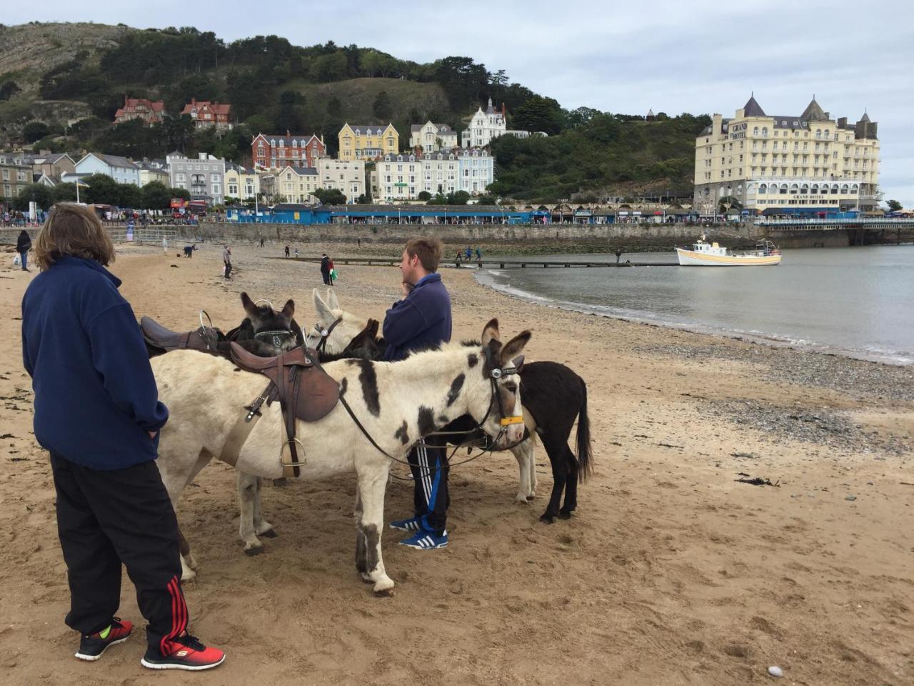 Guest house Chilterns Llandudno