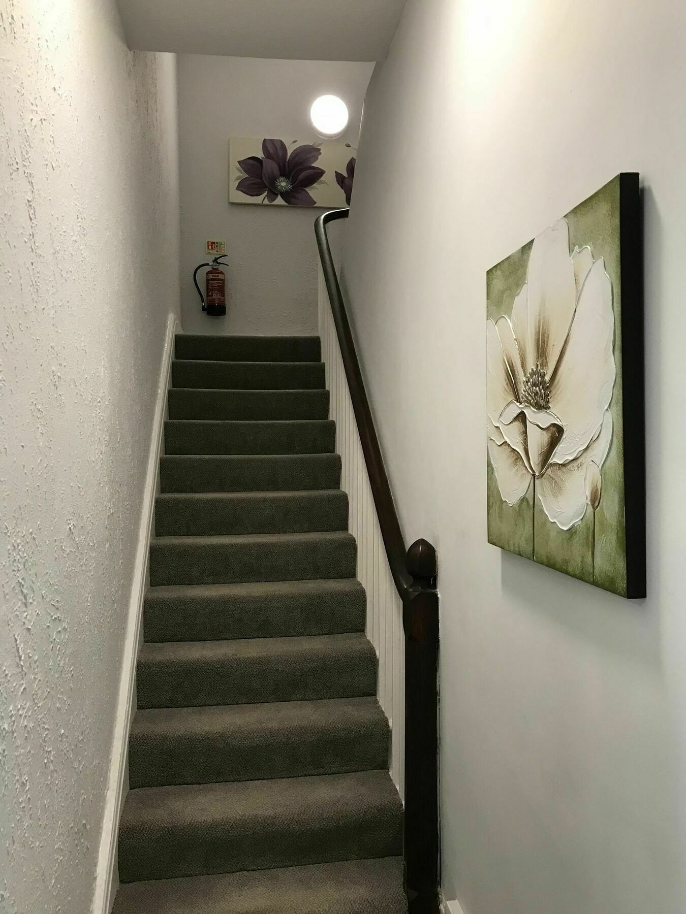 Apartment Seacliffe