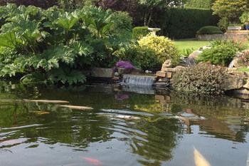 Bed & Breakfast Heddwyn 4*