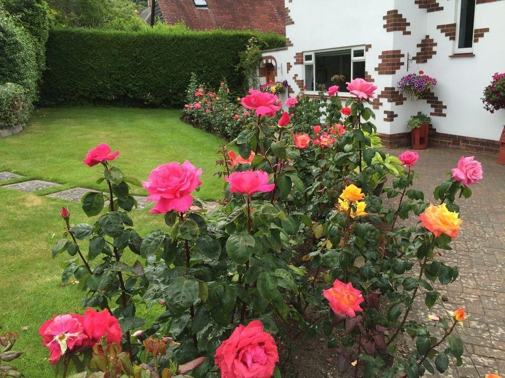 Heddwyn Bed & Breakfast Llandudno