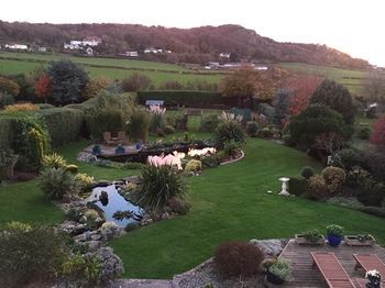 Heddwyn